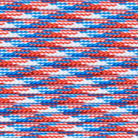 550 Paracord - Made in USA - Versatile and High-Strength Nylon Cord